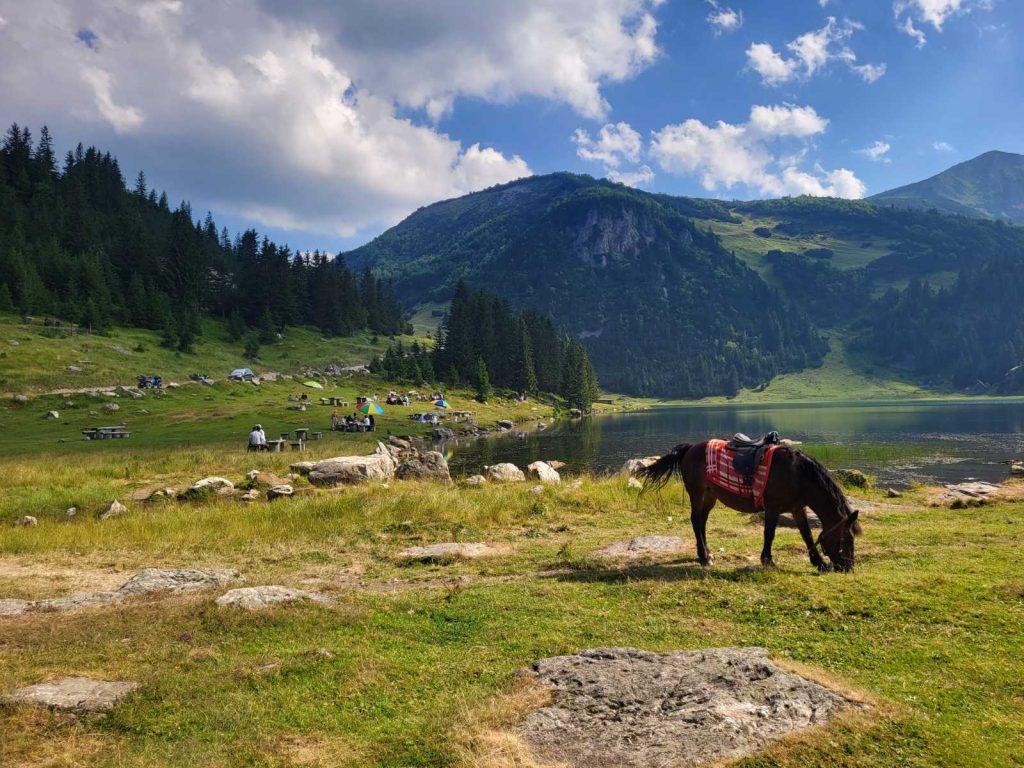 Halal Balkan - Prokoško jezero