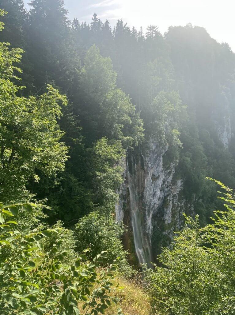 Skakavac u srcu Bosne