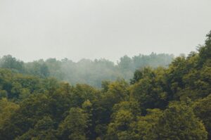Priroda u Gradačcu, gradu Zmaja od Bosne