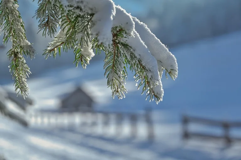 Planina Vlašić kod Travnika