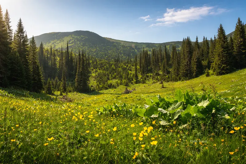 Ljubišnja Pljevlja priroda