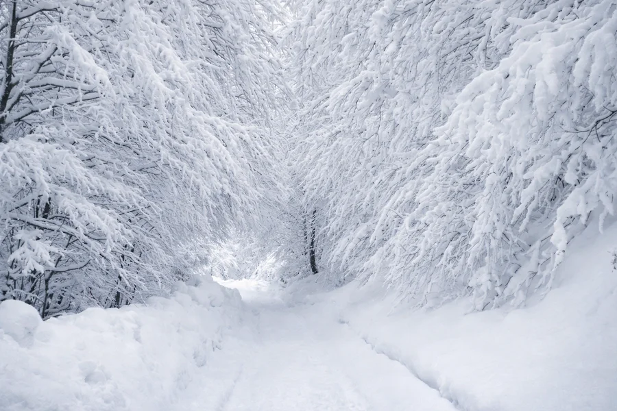 Ilustracija zimske idile u okolini Pljevalja.