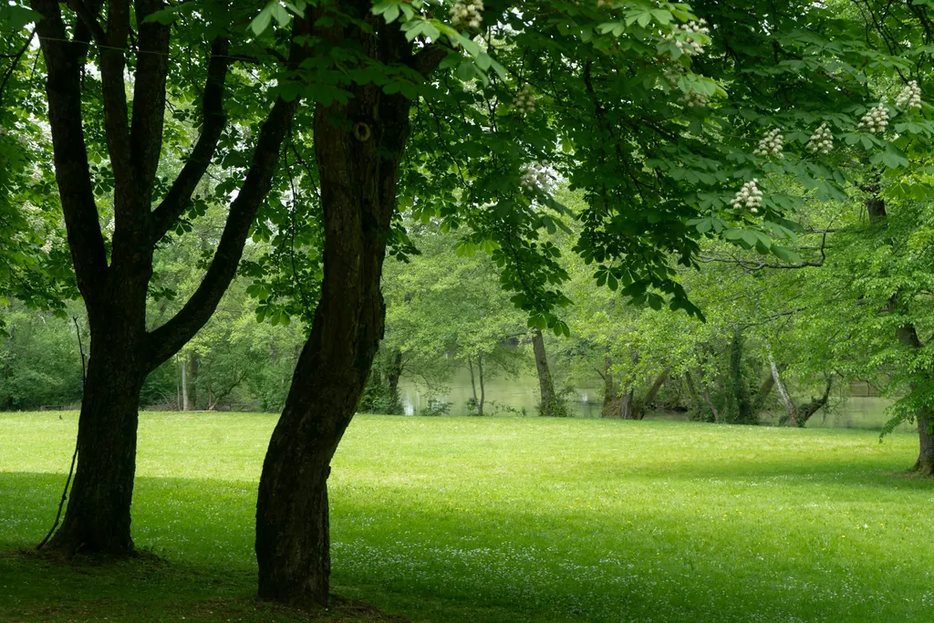 Vrelo Bosne na Ilidži, šetnja kroz park i izvorište rijeke