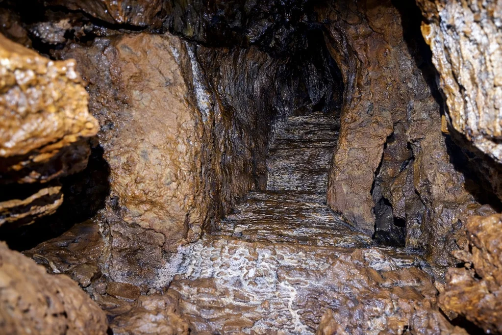 Bosnić Grad kod Viteza, ruševine i ostaci zidova u zelenilu